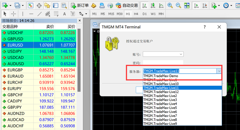 TMGM MT4服务器时间是哪个时区